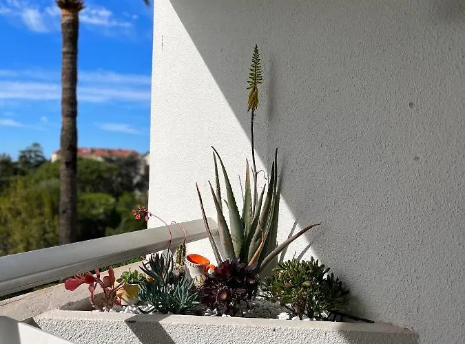 公寓 Parc Montfleury *