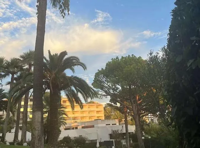 Parc Montfleury * 戛纳