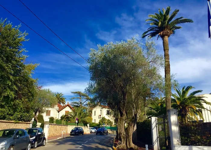 Parc Montfleury 戛纳